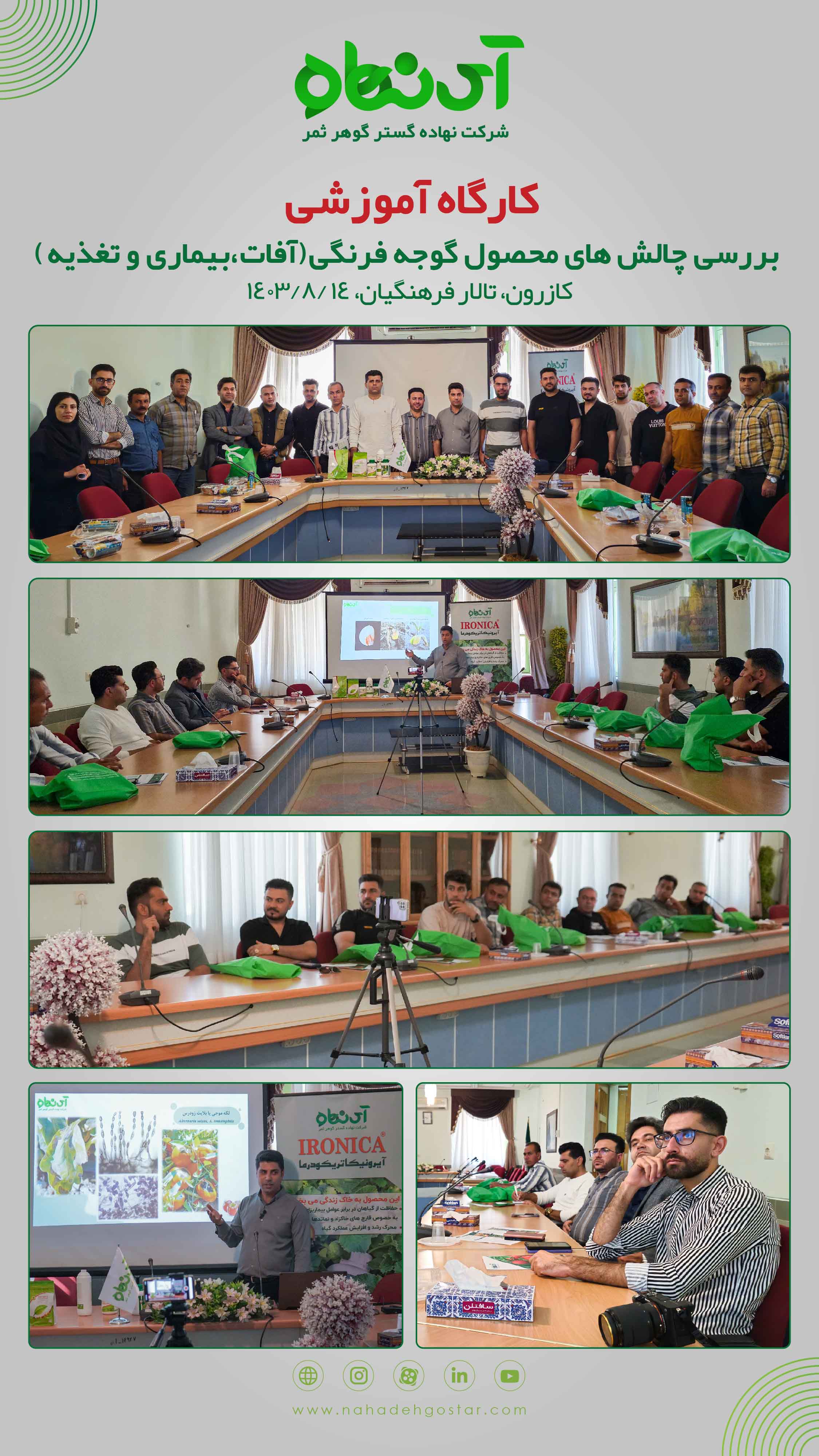 کارگاه آموزشی بررسی چالش های محصول گوجه فرنگی کازرون،۱۴ آبان ۱۴۰۳